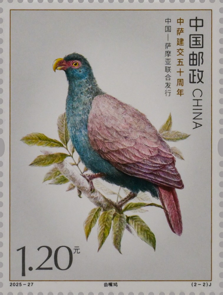 2025-27(2-2)J单枚.jpg